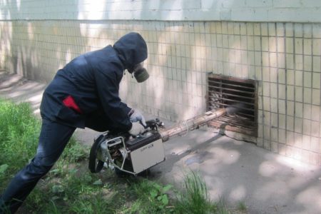 Уничтожение грызунов дератизация помещений