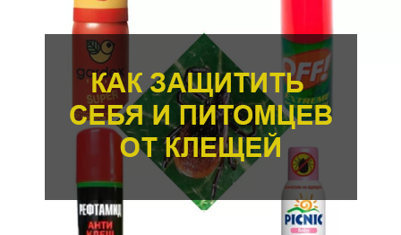 Защита от клещей