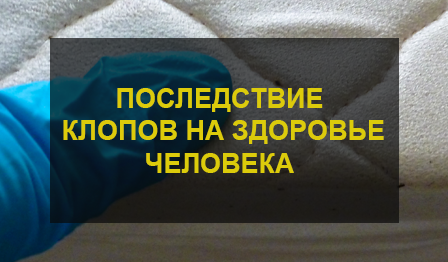 Клопы в матрасе