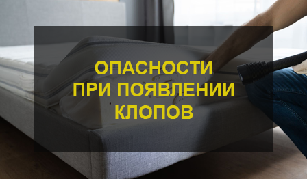 Клопы в мебели
