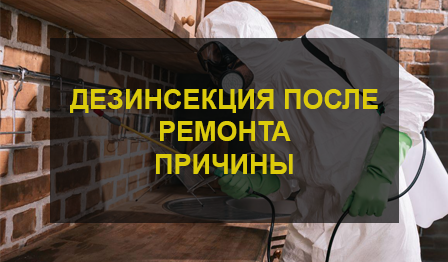 Дезинсекция после ремонта