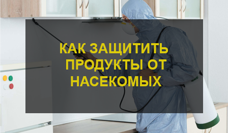 Как защитить продукты от насекомых