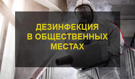 Дезинфекция общественных мест