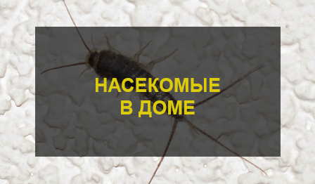 Уничтожение насекомых