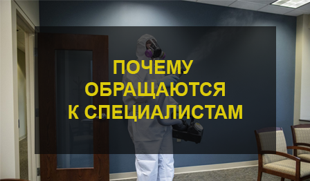 Дезинфекция