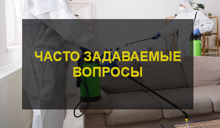 Дезинсекция