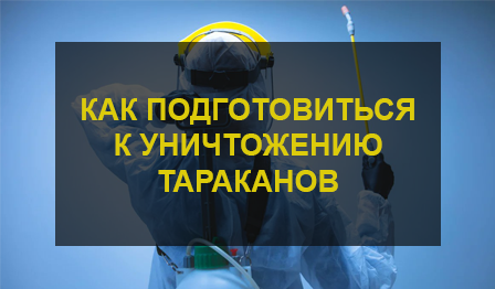 Уничтожение тараканов