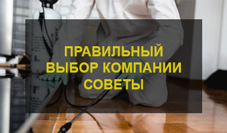 Уничтожение тараканов