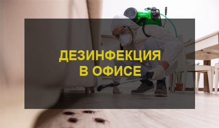 Дезинфекция
