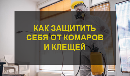 Уничтожение насекомых